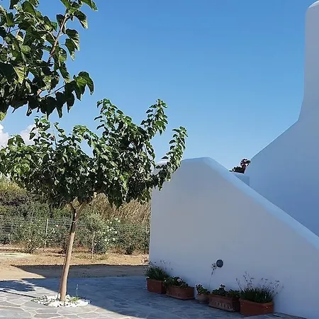 Apartment Petroto Abodes Agia Anna (Naxos)